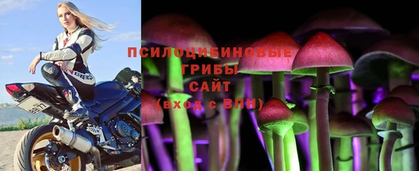 гидропоника Зеленодольск