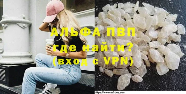 стаф Зеленокумск