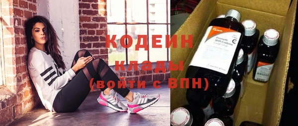 стафф Инта